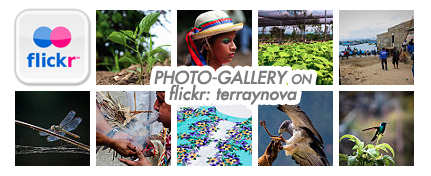 Screen Shot 2016-02-29 at 8.53.13 PM